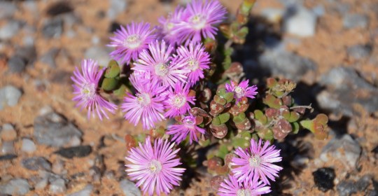 2012-09-24 14-46-24a