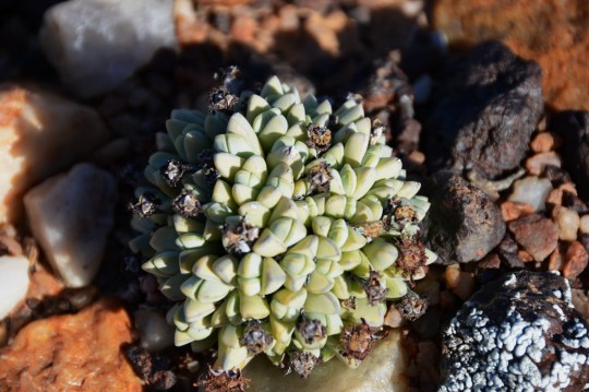 2012-09-24 15-13-11a