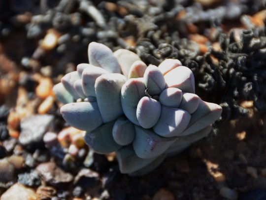 2012-09-24 15-20-14a