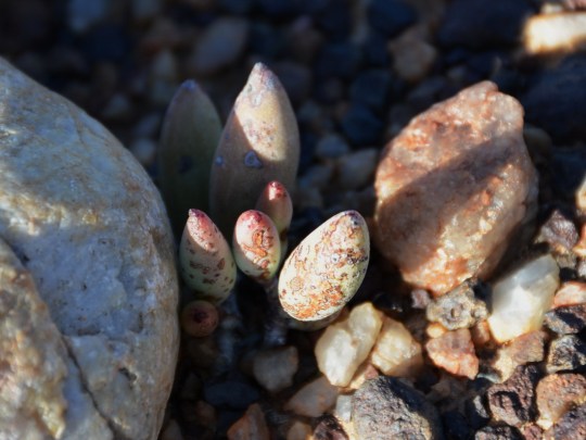 2012-09-24 15-20-31a