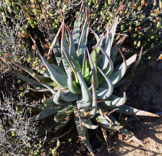 2012-09-24 15-51-56a