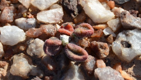 2012-09-24 16-03-55a