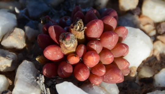 2012-09-24 16-09-46a