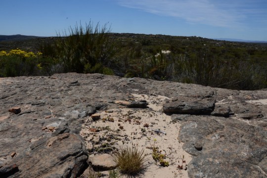 S2734 - habitat overview