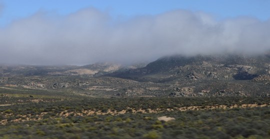 Hillside near S2688 - sMorgenskadu Farm
