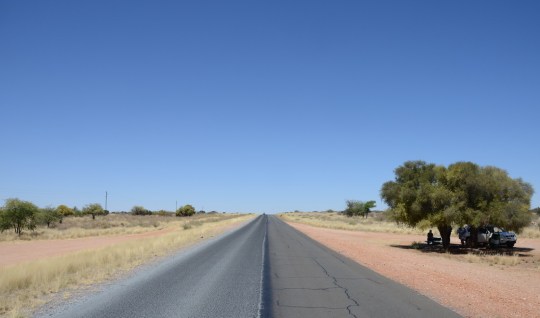 S2607 - pull over in the shade of an Acacia tree