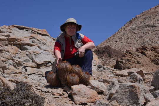Angie posing with the plant we first saw here in 2003 and christened 'Benjy's plant' - Copiapoa longistaminea fa