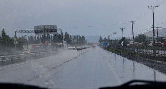 Ruta 5 in pouring rain - never seen north of Santiago, perhaps much more common to the south (S2862)