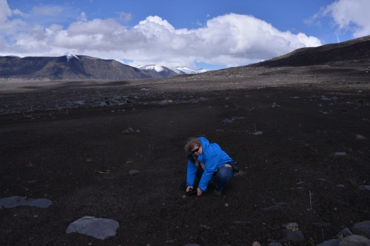 Angie taking pictures of the Viola