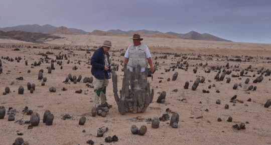 S2919 Ritter's TL for columna-alba - wrong camera angle