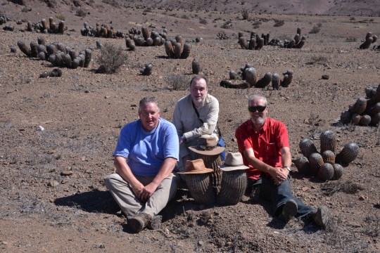 The Tres Amigos - Brendan, Jonathan and Paul with Copiapoa cinerea