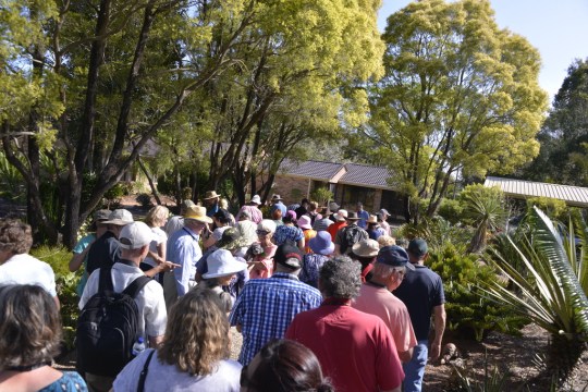 Arriving at Lou & Tish Randall's collection for afternoon tea