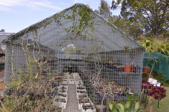 Protection: from what for who?