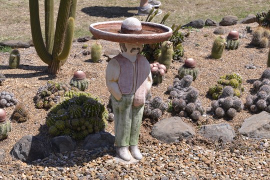 Getting me in a Mexican mood