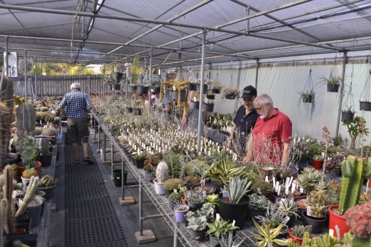 Another plant inspection.