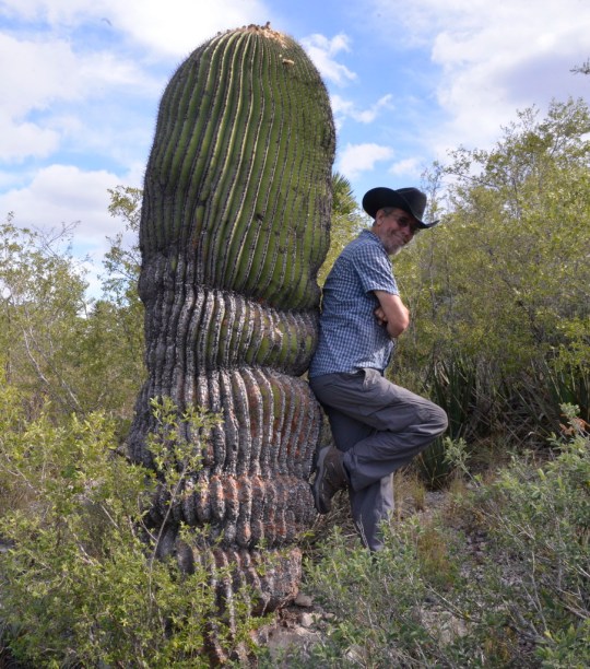 My Old Friend and I (S3208)