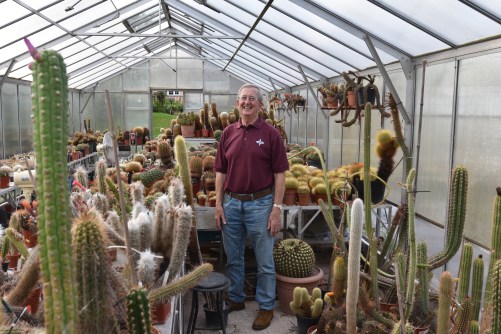 Maurice Williams and part of his collection of Matucana