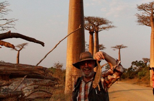 image by Christophe Quénel.