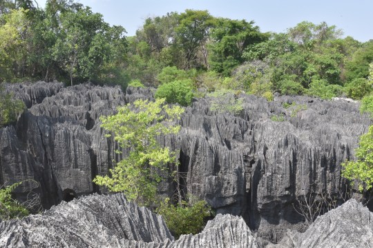 The Tsingy National Park
