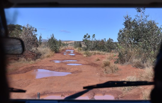 View from the back seat