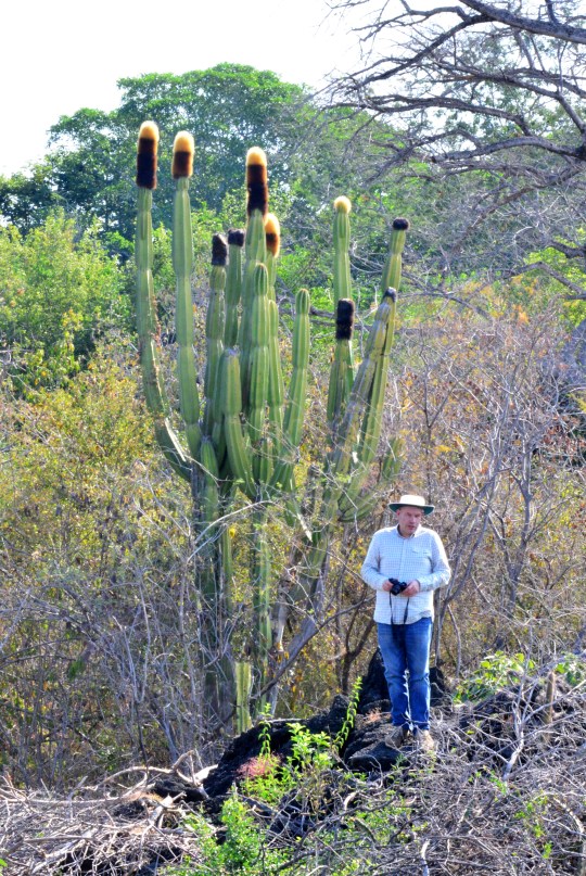 2017-02-04 10-36-42.JPG