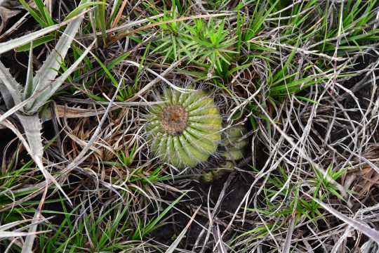 2018-11-13 11-37-44 - 0009