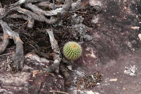 2018-11-13 12-36-33 - 0042