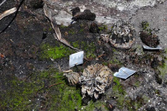 2018-11-13 17-15-04 - 0116