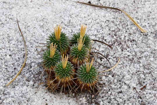 2018-11-14 19-24-01a